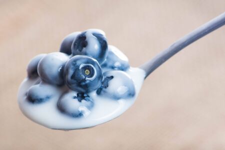 Juicy and fresh blueberries on the spoon with yogurt. Bilberry on the white table background. Blueberry antioxidant. Concept for healthy eating and nutrition.の写真素材