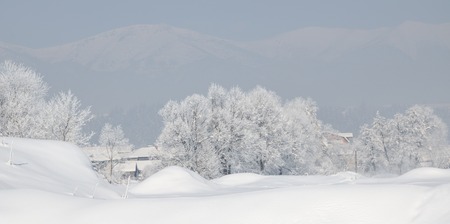Awesome winter landscape. Trees covered with hoarfrost and snow in winter on mountains background. Bansko, Bulgariaの写真素材