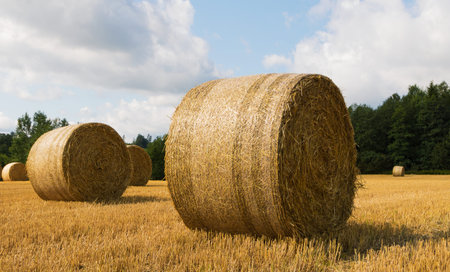 Incredible view of a round bale of straw in the meadow in autumn