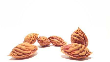 Fruit Pits on White Background.  Nectarine Peach Seeds.  Art and Craft.の写真素材
