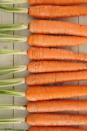 A row of fresh carrotsの写真素材