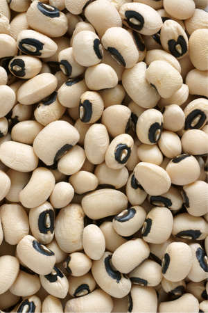 California Blackeye Peasの写真素材