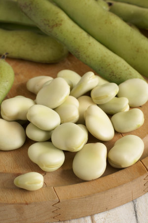 Broad beans or fava beans a popular legume in North African and Asian cuisine