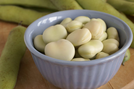 Broad beans or fava beans a popular legume in North African and Asian cuisine