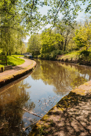 Shady tree lined view of the Llangollen canalの写真素材