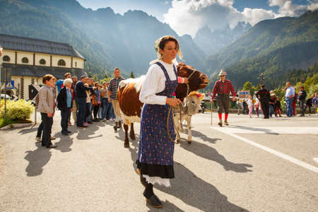Falcade, Belluno, Italy - September 26, 2015: Se Desmonteghea a great party in Falcade for the livestock returning from the highland pasturesのeditorial素材