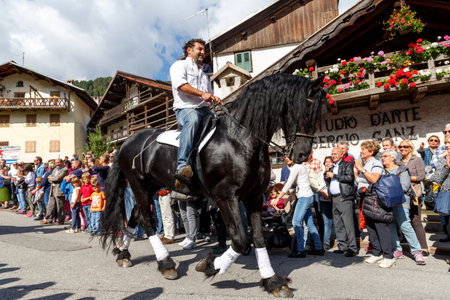 Falcade, Belluno, Italy - September 24, 2016: Se Desmonteghea a great party in Falcade for the livestock returning from the highland pasturesのeditorial素材