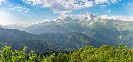 Panoramic view of the slopes of the mountains overgrown with green deciduous forest and bare peaks of high snow-capped mountains behind them through the trees. Caucasus, Russia.の写真素材