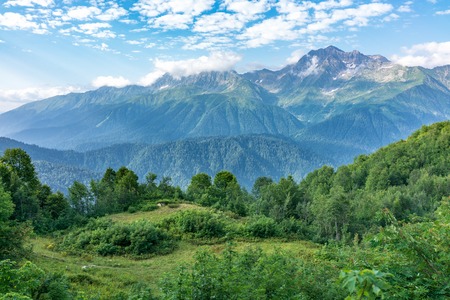 View of the mountain meadow with trees, grass and footpath and high mountains with snow-capped peaks in the distance. Caucasus, Russiaの写真素材