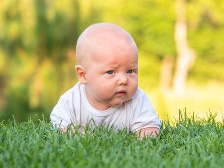 The baby lies or crawls along the green lawn at sunset and is looking ahead seriously. Emotions baby. Vacation with children. Childcare. Goods for kids. Sun protection. Child development.の写真素材