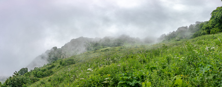 Green alpine meadow on the slopes and mountains in the fog on the horizon. Environmental Protection. Travel background. Caucasus, Russiaの写真素材