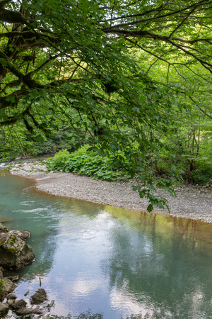 Mountain river with turquoise water with stony shores in the dense green forestの写真素材