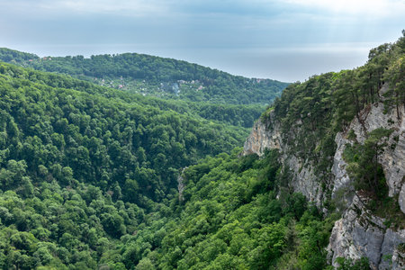 Mountain with a steep rocky slope and valley with thick green forest below. Residential buildings and the sea are visible in the distanceの写真素材