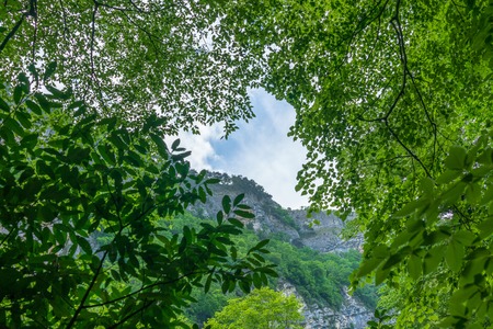 Towering cliffs and cloudy skies through green branchesの写真素材