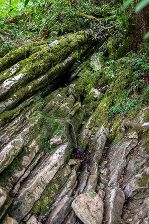 A small stream flows through limestone cliffs in a green forest.の写真素材