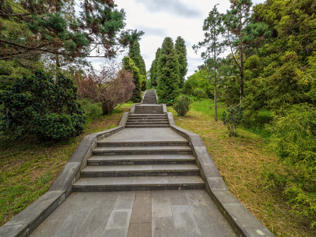 Walkway with steps in a green city park on a cloudy day.の写真素材