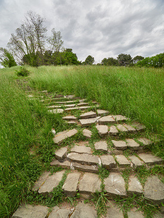 Old steps in the green park. The steps in the park are surrounded by high green grass.の写真素材
