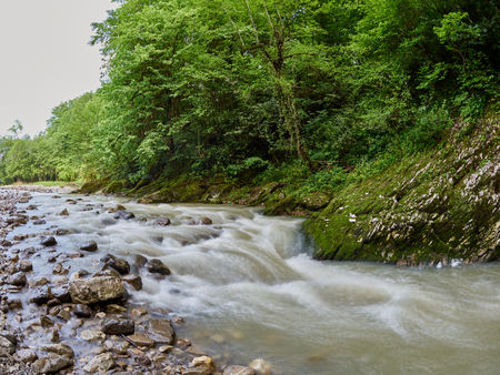 A stony mountain stream with a thick green forest on the shore on a slightly cloudy day.の写真素材