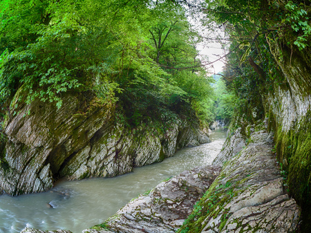 Mountain river in the gorge between the white cliffs with a green forest aboveの写真素材