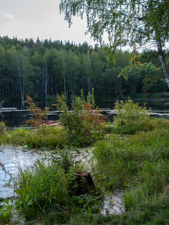 A small lake with thick grass and forest on the shores. Autumn sunset. Sharp not blurred background. Boats on the shoreの写真素材