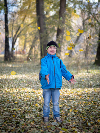 Happy boy throws yellowed dry leaves in autumn parkの写真素材