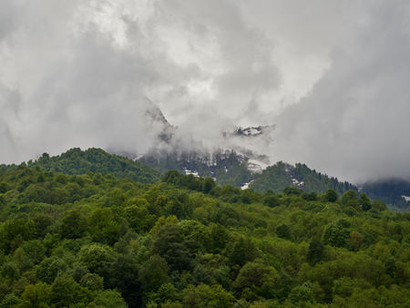 High mountains with snowy peaks in thick fog and green forest in front of them. Mountains in the spring.の写真素材