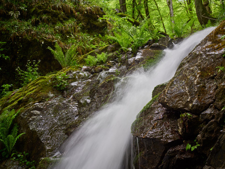 Powerful creek with a waterfall in the spring forest. Waterfall in the forest. Mountains in the spring.の写真素材