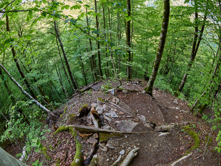 Hiking trail descends from a very steep slope in the spring forest. Mountains in the spring.の写真素材