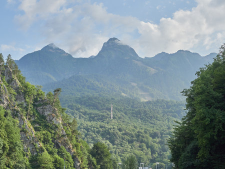 Steep cliffs with pines growing on them. High mountains in the fog.の写真素材