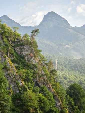 Steep cliffs with pines growing on them. High mountains in the fog.の写真素材