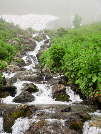 A powerful mountain stream flows down from the rocks in a dense fog. Unmelted snow in the high mountains. Green vegetation in the mountains in summer.の写真素材