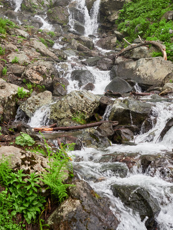 A powerful mountain stream flows down from the rocks and stones. Green vegetation in the mountains in summer.の写真素材
