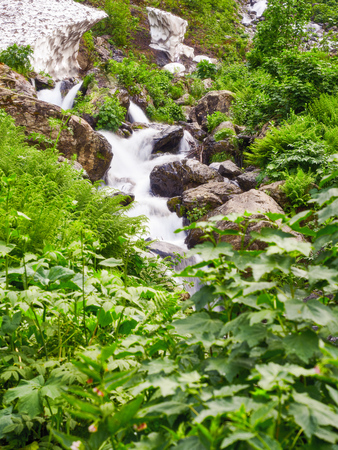A powerful mountain stream flows down from the rocks and stones. Green vegetation in the mountains in summer. Unmelted snow in the high mountainsの写真素材