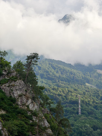 High green mountains with peaks in thick clouds. Green vegetation in the mountains in summer.の写真素材
