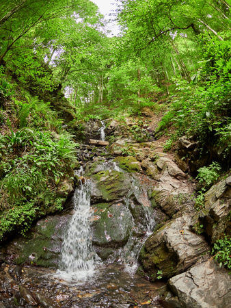 Powerful stream in summer forest. Waterfall in the forest. Mountains in the summer.の写真素材