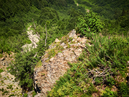 Rock in the high mountains with the green slopes. Green vegetation in the summer in the mountainsの写真素材