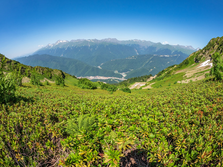 Mountain range and valley with residential houses, view from a height. Green vegetation in summer mountains. Alpine meadows and thickets of mountain rhododendron. Krasnaya Polyana, Sochi, Russia.の写真素材