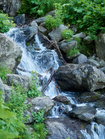 A powerful mountain stream flows down from the rocks and stones. Green vegetation in the mountains in summer.の写真素材