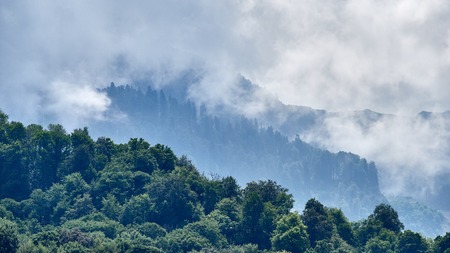 High mountain with green slopes hidden in thick clouds and fog. Heavy fog in the mountains on a cloudy day.の写真素材