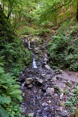 Stony stream in the summer forest. Waterfall in the forest. Mountains in the summer.の写真素材
