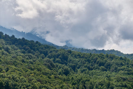 High mountain with green slopes hidden in thick clouds and fog. Heavy fog in the mountains on a cloudy day.の写真素材