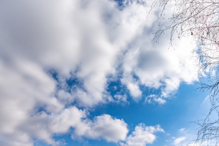 Thin branches of a birch without leaves against the blue cloudy sky. Background with copy space.の写真素材