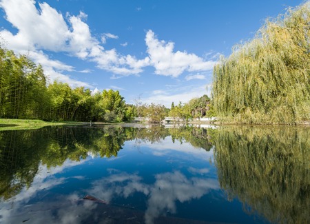 A pond with trees on the shores. Reflection of blue sky with clouds in calm water.の写真素材