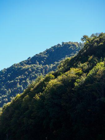 Green mountainside illuminated by the setting sun. Mountains in summer or autumn. Clear blue sky.の写真素材