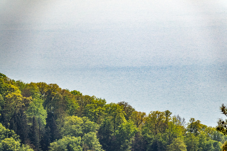 Green forest on the sea shore and the sea in the distance. Copy space background.の写真素材
