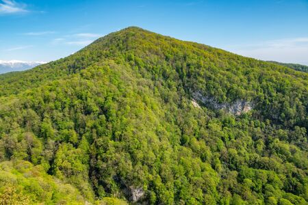 The mountain overgrown with thick green forest. Mount Akhun, Sochi, Russia.の写真素材