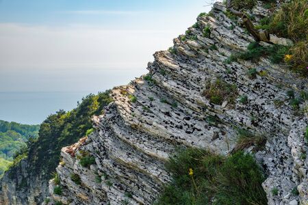 Rocky cliff in dense green forest. Spring colors in the mountain forest. The sea is visible on the horizon. Natural background. Spring season.の写真素材