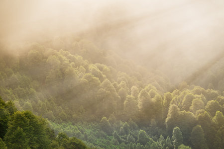 A high mountain with green slopes disappeared into thick fog. The sun's rays pass through the thick...