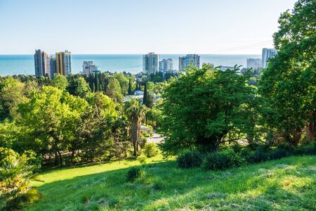 Sea view from a green park in a warm southern city. Sochi, Russia.の写真素材