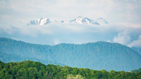 Green hills covered with dense forest and high snowy mountains in the distance. Fog and clouds on the slopes of high mountains with snowy peaks.の写真素材